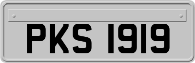 PKS1919