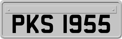 PKS1955