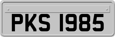 PKS1985