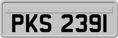 PKS2391