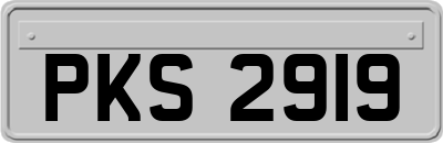 PKS2919