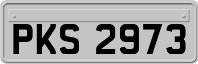 PKS2973