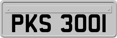 PKS3001