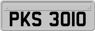 PKS3010