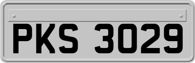 PKS3029