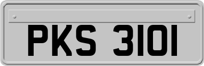 PKS3101