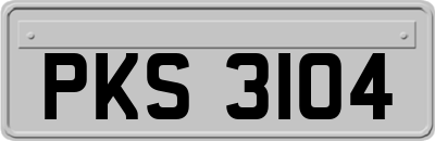 PKS3104