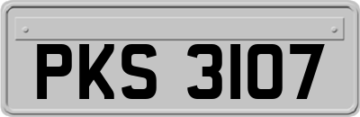 PKS3107