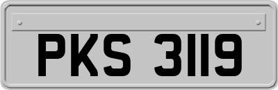 PKS3119