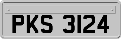 PKS3124
