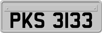 PKS3133