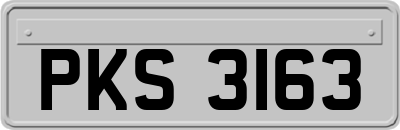 PKS3163