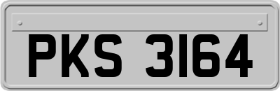 PKS3164