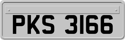 PKS3166