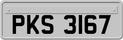 PKS3167