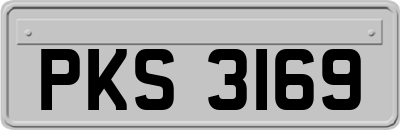 PKS3169