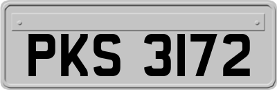 PKS3172