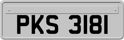 PKS3181