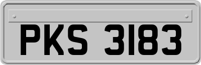 PKS3183