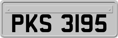 PKS3195