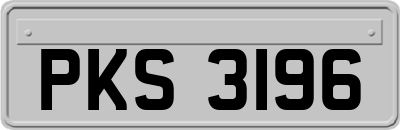 PKS3196