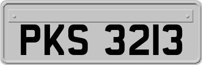PKS3213