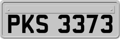 PKS3373