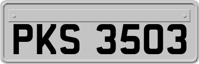 PKS3503