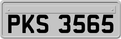PKS3565