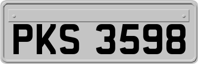 PKS3598