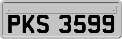 PKS3599