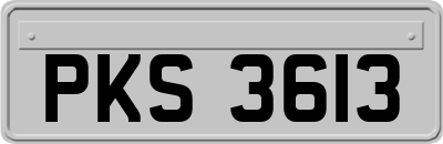 PKS3613