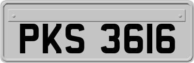 PKS3616