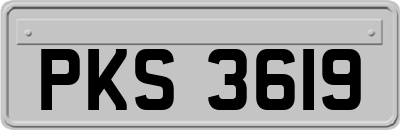 PKS3619