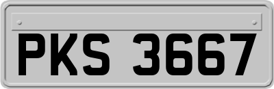 PKS3667