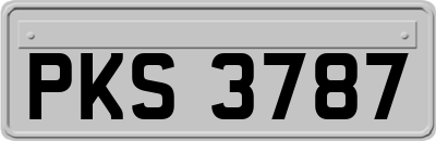 PKS3787