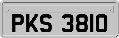 PKS3810