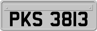 PKS3813