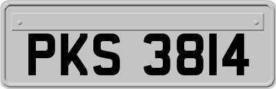 PKS3814