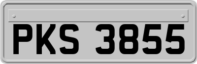 PKS3855