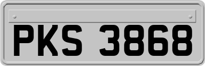 PKS3868