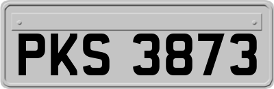 PKS3873