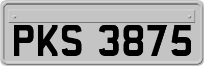 PKS3875
