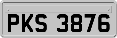 PKS3876