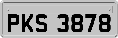 PKS3878