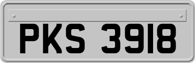 PKS3918