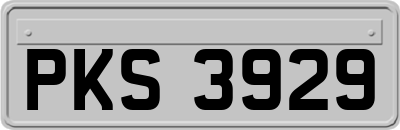 PKS3929