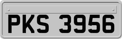 PKS3956