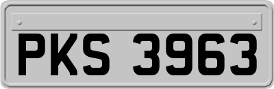 PKS3963