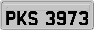 PKS3973